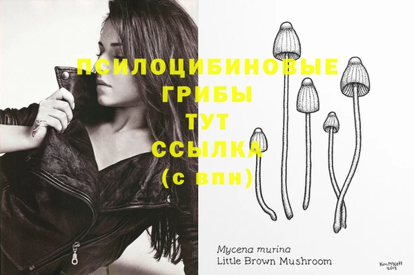 прущий лед Кинешма