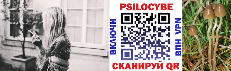 Галлюциногенные грибы Cubensis  Купить  Черепаново 